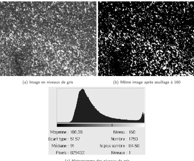 Fig. 3.12 – D´etermination de la fraction volumique de renforts dans un composite par analyse d’image.