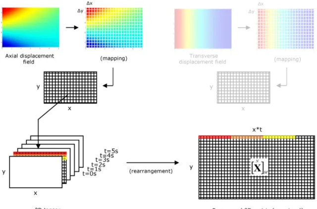 Fig.  B.1. Digital mapping of the adherend-to-adherend axial and transverse displacement ﬁelds.