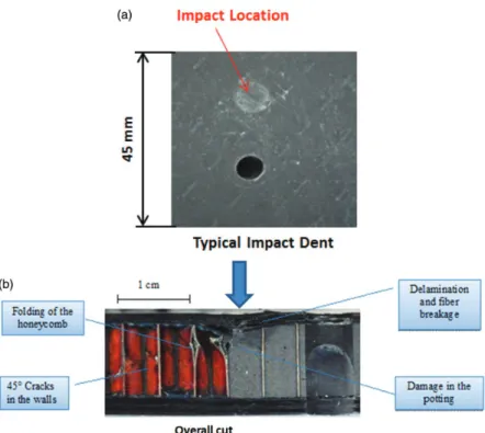 Figure 10. (a) Typical dent after impact on the insert and (b) post-mortem observation of a specimen.