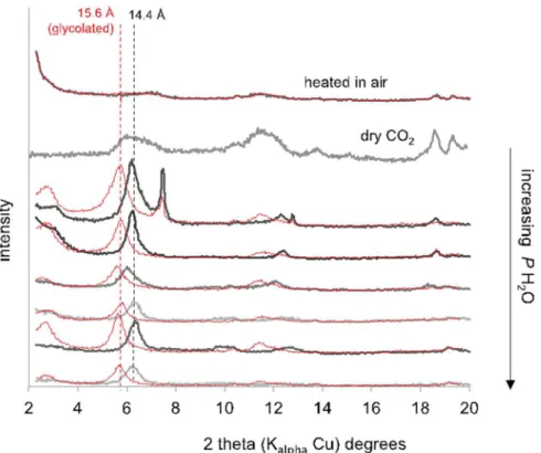 Fig. 4. Examples of sulfurized species that grew on the surface of samples altered in Venus-like gas.