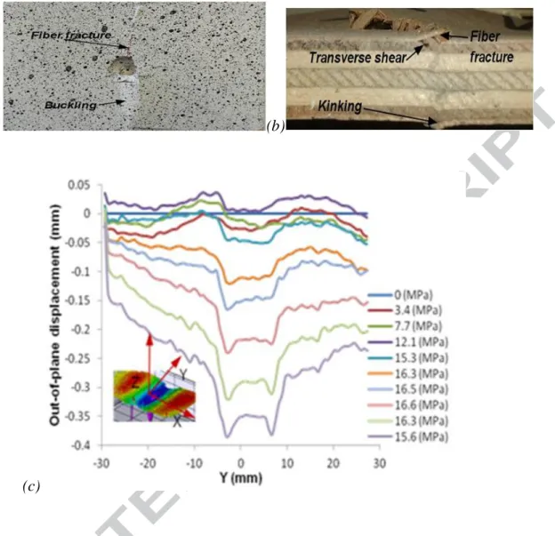 Figure 9: Typical failure pattern for CAI of plywood A (a) and (b) impacted at 15 J, and out  of  plane  displacement  of  specimen  impacted  at  5  J  for  plywood  B  (c)  along  compression  direction (X)