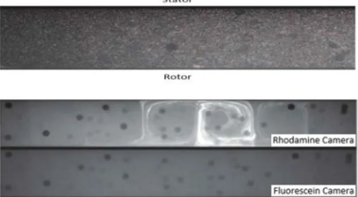 Fig. 4    Top: PIV image obtained in the presence of 1.5 mm beads, the  image is cropped to fit with the region of interest and rotated by 90 ◦  