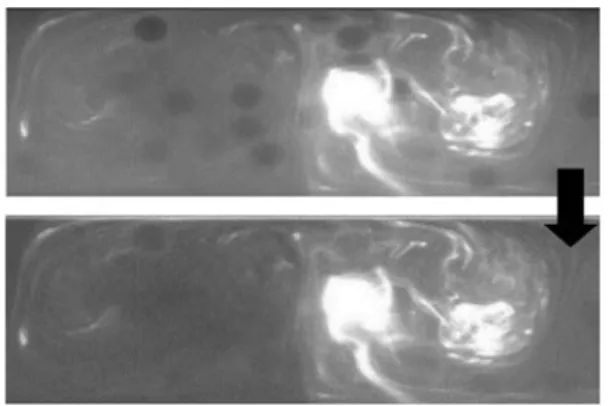 Fig. 9    Top: Rhodamine image before normalization. Bottom: Rhoda-