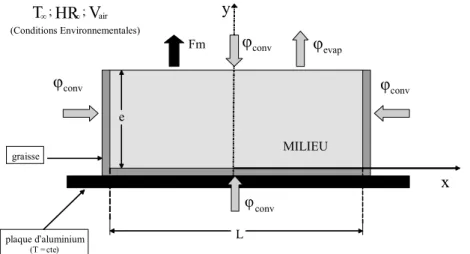 Figure 4.2 Géométrie de l’échantillon de gel d’alumine utilisé par les expériences et  simulations