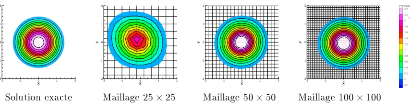 Fig. 2.18 - Champ de vorticit exacte et solutions du schma rbv sur dirents maillages.