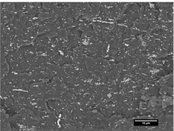 Figure 2. SEM cryocut image of a nanocomposite PVDF-NNCs 2 %vol.