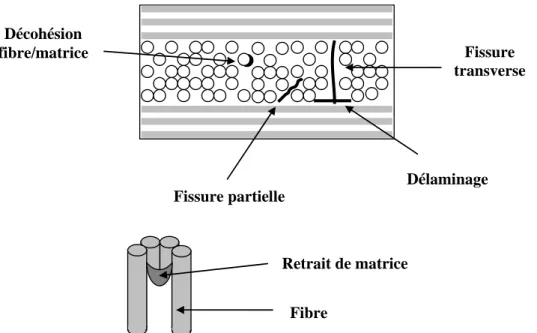 Figure  II-13 : Types d’endommagements observés sur chants polis d’un stratifié composite à fibres  longues soumises à des cyclage thermique 