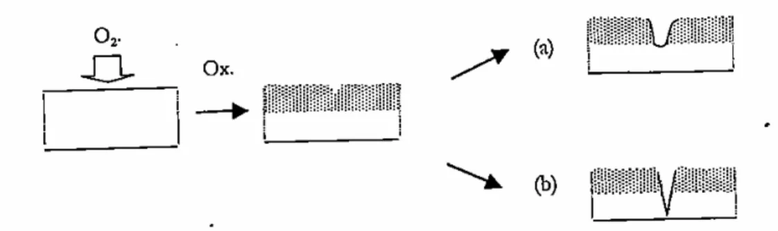Figure  II-31 : schématisation de la fissure induite par l’apparition de  la couche oxydée [60]  (a) arrêt   (b) propagation 