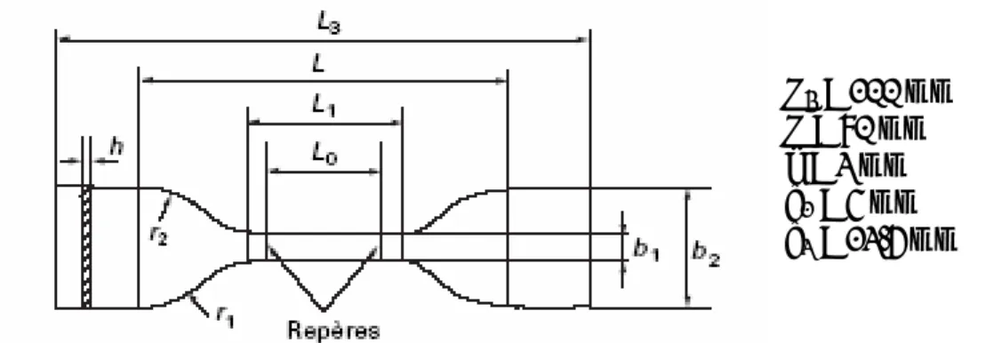 Figure  III-7 : Géométries des éprouvettes de traction (ISO 527-2 (type 5A)) de DGEBF-TGAP-DDS 