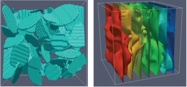 Fig. 3 Left: structured 3D Finite Volume Mesh (FVM) display of the fractured porous domain, with N 