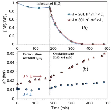 Fig. 6. Variation of transmembrane pressure vs time: ΔP at 19 L h −1 m −2 at
