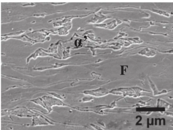 Fig. 1. Initial microstructure of the cold-rolled sheet made of martensite (α′) and ferrite (F) (SEM micrograph).