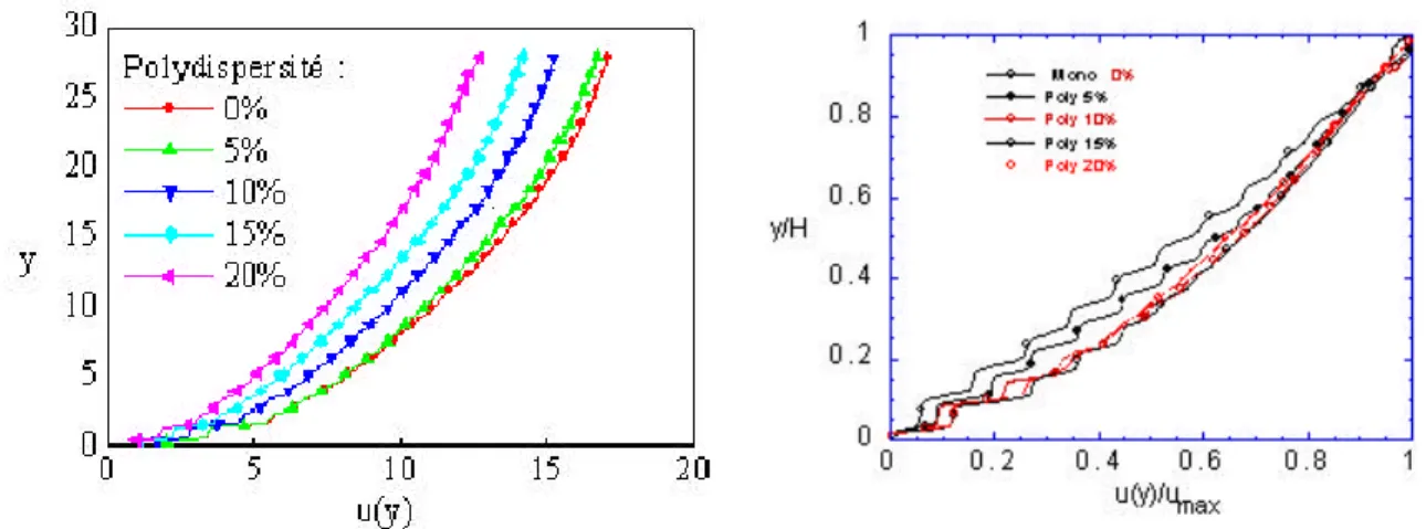Figure III - 13 : Effet de la polydispersité sur le profil de vitesse A gauche (N = 1000 - θ  = 22°)