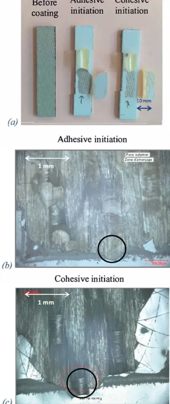 Fig. 3. Aclherence grades obtained from cross-eut tests prior to  and after water  ageing  of  untreated substrates  and  substrates  activated  under  (a)  air  and  (b)  nitrogen plasmas