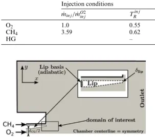 Fig. 1. The two-dimensional computational domain. Thick dark lines represent no-slip adiabatic walls for the fluid domain