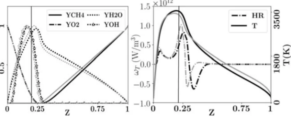 Fig. 2. Comparison between flame structures obtained with GRI3.0 (dark lines), and the reduced GRI HP scheme (light