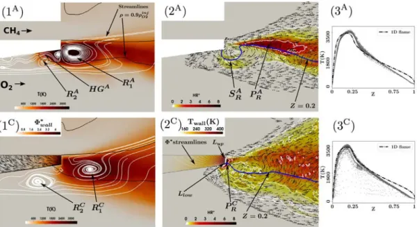 Fig. 3. (1) Averaged temperature field and velocity streamlines in the fluid. Averaged heat flux magnitude and vector field in the wall