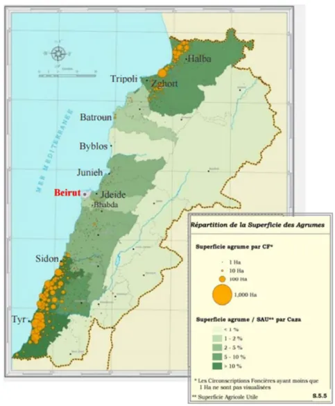 Figure 3 : Variation de la quantité d’agrumes produite en tonnes au Liban au cours des années