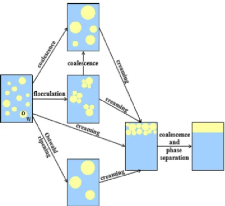 Figure 12: Représentation schématique des différents mécanismes de déstabilisation pour une émulsion 