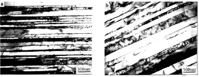 Figure 2.5 Micrographie électronique en transmission montre l'espacement interlamellaire