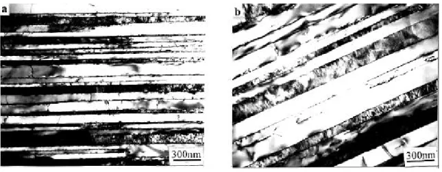 Figure 2.5 Micrographie électronique en transmission montre l'espacement interlamellaire