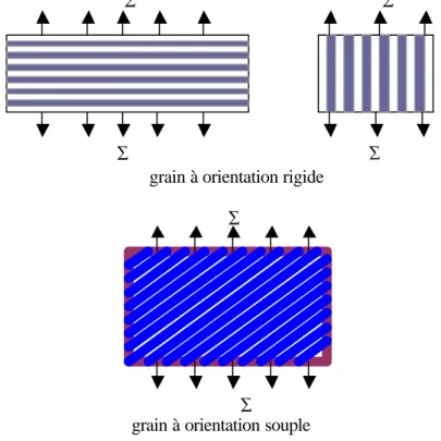Figure 2.7 Schéma du grain à orientation rigide et du grain à orientation souple 
