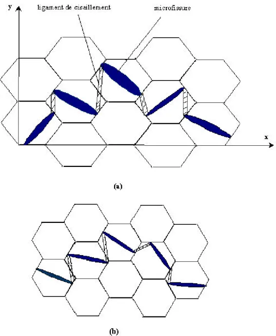 Figure 2.21 Schéma de ligament conduit par la discordance de fissures. (a) microstructure à  gros grain, (b) microstructure à grain fin 