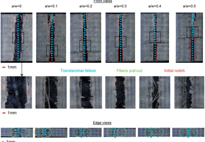 Figure 10. Microscopic observations of SENT specimens after failure in mode I at 150  C.