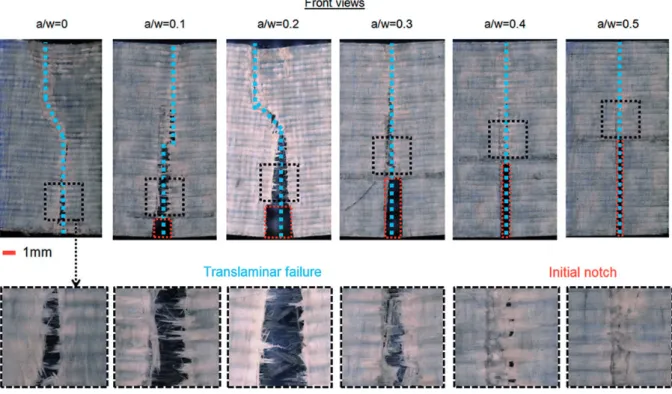 Figure 11. Microscopic observations of SENB specimens after failure in mode I at 150  C.