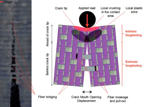 Figure 12. Illustration of crack extension and crack mouth opening displacement in SENB specimens at 150  C (a/w 0.3): influence