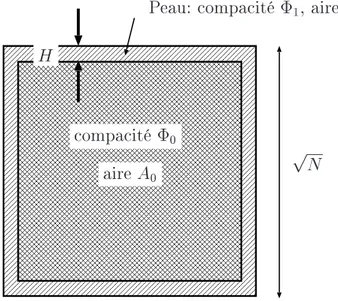 Fig. 2.11  Eet de peau lors de l'évaluation de la compacité d'un assemblage carr é
