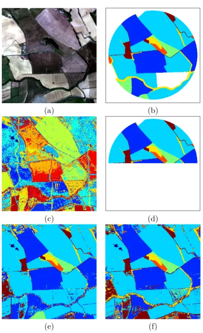 Figure 1.11.: Real MUESLI image. (a) colored composition of the hyperspectral image, (b) expert ground-truth, (c) estimated clustering, (d) training data, (e) estimated classiﬁcation with proposed model and (f) estimated classiﬁcation with random forest.