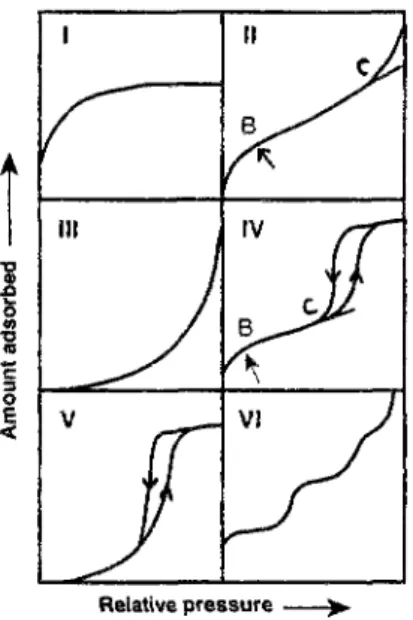 fig- 2 :  Les six types d'isothermes, d'après la classification de l'I.U.P.A.C.  (recommandations 1984, [133])
