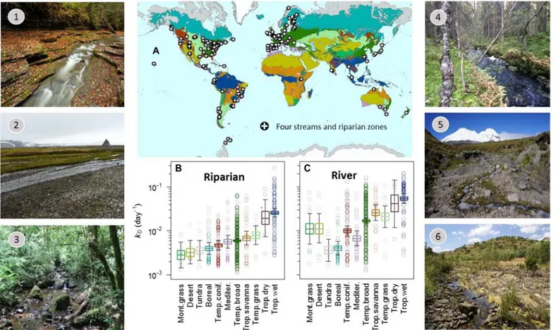 Fig. 1. Global distribution of field sites, mean decomposition rates across biomes, and photos of select field sites
