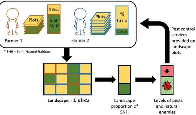 Figure 1. Landscape-based provision of biological pest control from the composition of Semi-Natural 