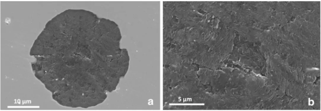 Figure 2. SEM micrographs of a spheroid section after thermal etching. Figure (b) is a higher enlargement view of the central area of the spheroid in ﬁgure (a)