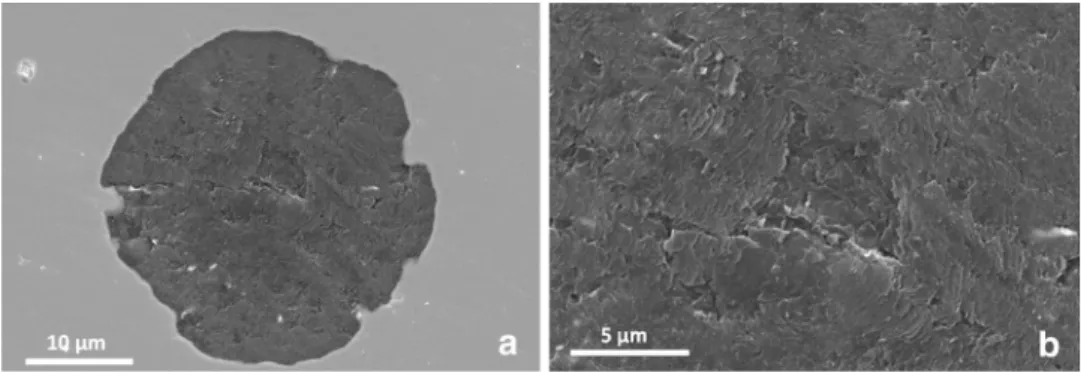 Figure 2. SEM micrographs of a spheroid section after thermal etching. Figure (b) is a higher enlargement view of the central area of the spheroid in ﬁgure (a)