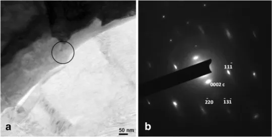 Figure 5. Bright-ﬁeld TEM image of the outer surface of a small nodule (a) and SAED pattern recorded in the area deﬁned with the solid circle in a (b)