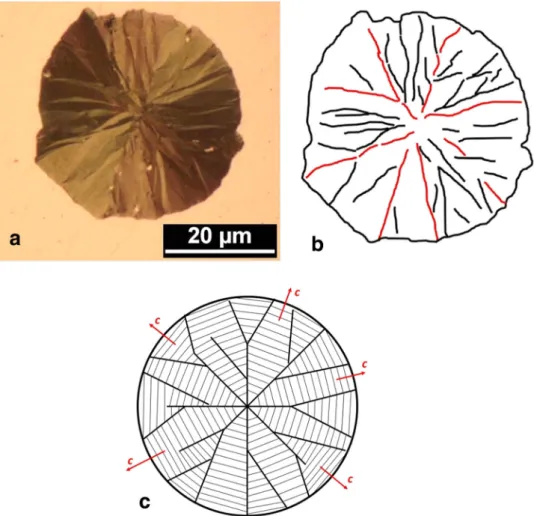 Figure 7. Optical micrograph under polarized light (a) and schematic of the radial line structure, without differentiating sectors (b) and after drawing their boundaries (c)