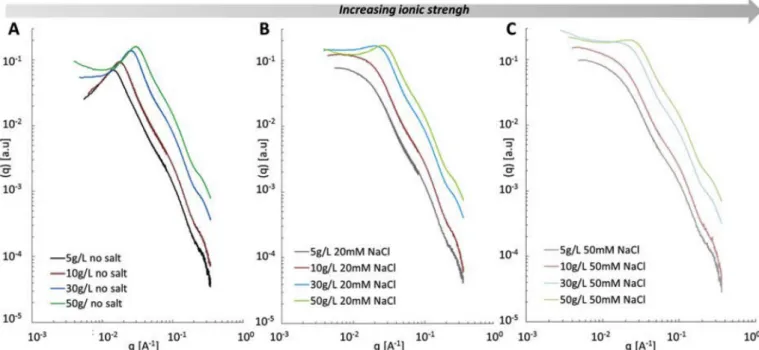 Fig. 5. Kratky-plot type representation of a gum Arabic solution at 5 g/L in 20 mM NaCl by small angle x-ray scattering.