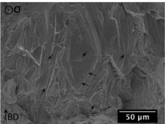 Fig.  24. Fracture at melt-pool boundaries observed on fracture surface of HY  tensile sample