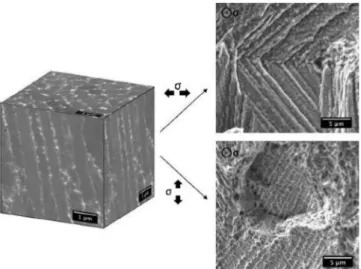 Fig.  26.  Inter-dendritic and trans-dendritic fracture surface as  function  of the  loading direction