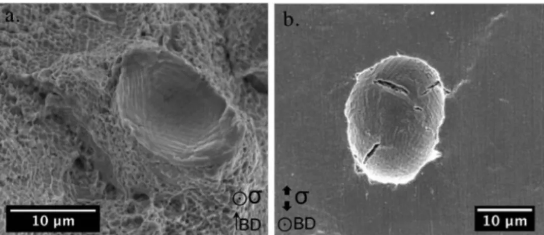 Fig. 31.  (a) Ductile fracture around gas pore and (b) open gas pore observed at the surface of a tensile sample fabricated with processing parameter A after tensile test  under vacuum