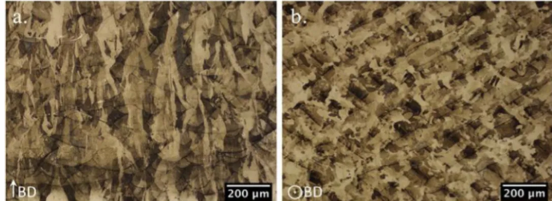 Fig. 6. Optical micrographs of dendritic growth through melt-pools and sphe­ rical pores