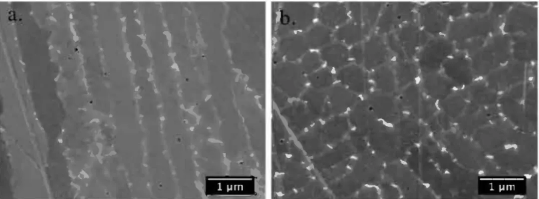 Fig. 21 presents the tensile behavior of the as-built alloy 718 for the  different loading directions at 650 °C and a strain rate of 10-4 s-1• The vertical  sample  exhibited  a  larger  elongation  and  smaller  tensile  strength than the horizontal sampl