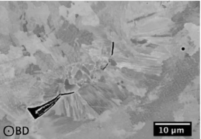 Fig.  11.  SEM  image  of an  un-melted  powder  particle  surrounded  by  lack-of­ fusion defects and spherical gas pores in the as-built  alloy 718