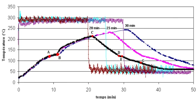 Figure III.6: Evolution de la température T a  pour les trois conditions opératoires choisies