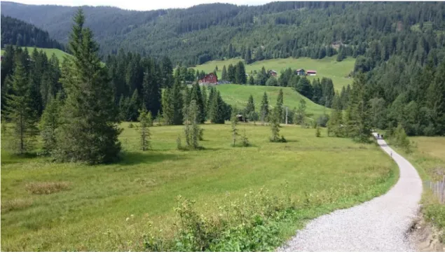 Figure 6: Photo of Hoefle Mire (centre), northward view toward river Schwarzwasser. Footpath with small ditches left  and right to it