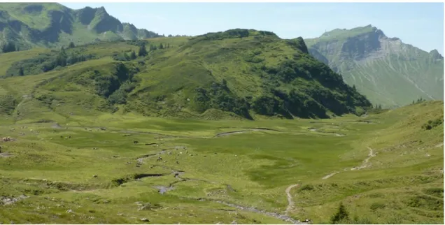 Figure 8: Photo of HHA, taken from a westward view from the Gehrachsattel, showing the stream meandering through  the mire and cattle (left centre)