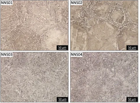 Fig. 4 Microstructures of the NNS specimens observed at Optical Microscopy.